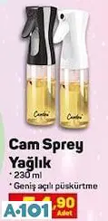 CAM SPREY YAĞLIK CAM SPREY YAĞLIK